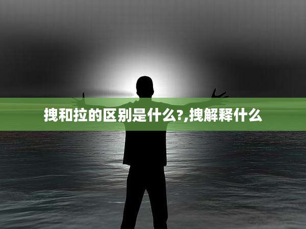 拽和拉的区别是什么?,拽解释什么