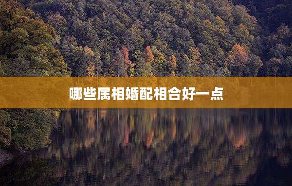 哪些属相婚配相合好一点