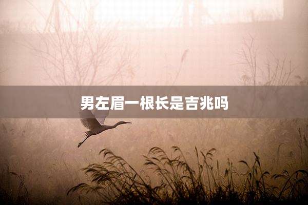 男左眉一根长是吉兆吗
