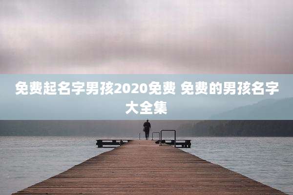 免费起名字男孩2020免费 免费的男孩名字大全集