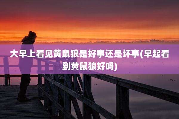大早上看见黄鼠狼是好事还是坏事(早起看到黄鼠狼好吗)