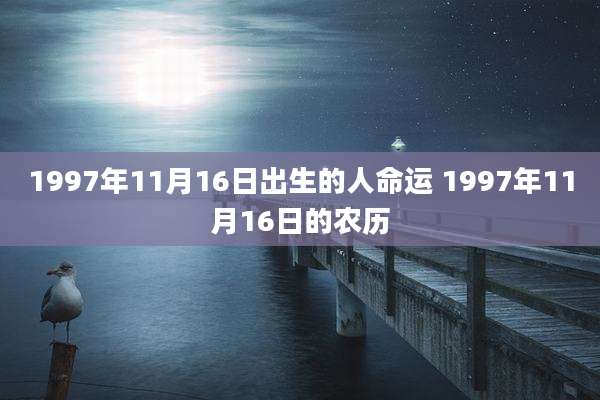 1997年11月16日出生的人命运 1997年11月16日的农历