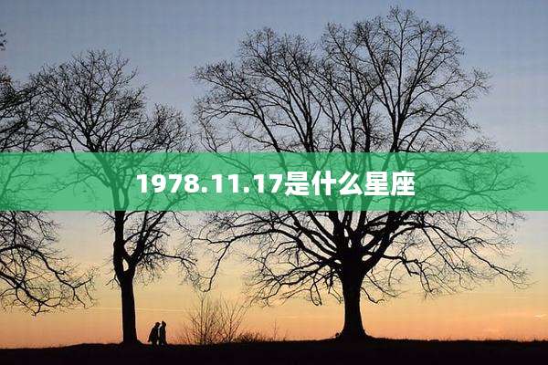 1978.11.17是什么星座