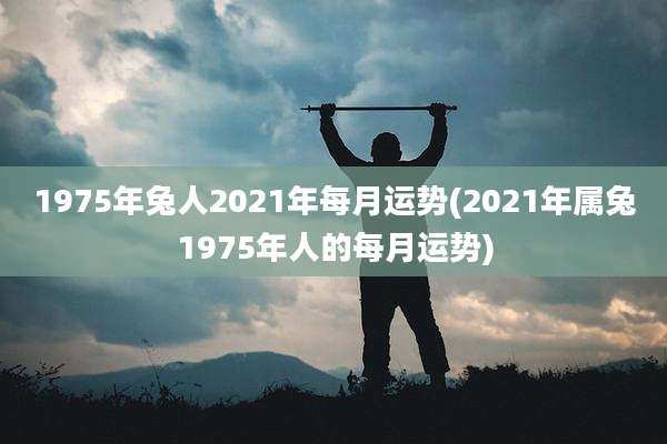 1975年兔人2021年每月运势(2021年属兔1975年人的每月运势)