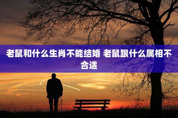 老鼠和什么生肖不能结婚 老鼠跟什么属相不合适