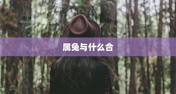 属兔与什么合