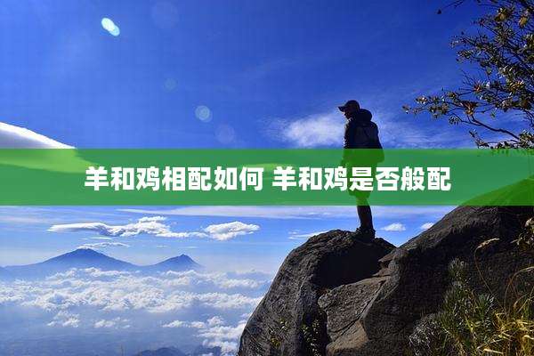 羊和鸡相配如何 羊和鸡是否般配
