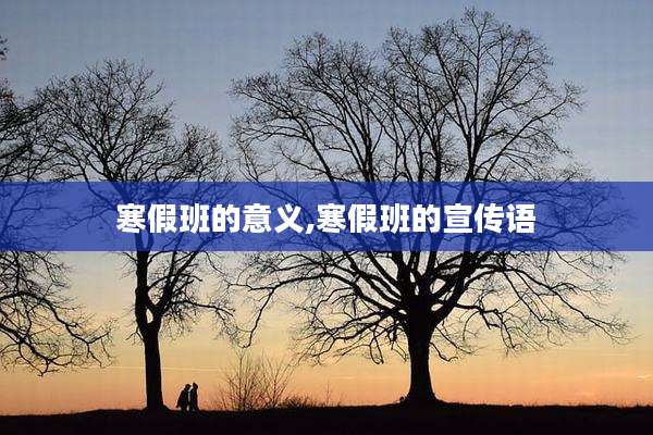 寒假班的意义,寒假班的宣传语
