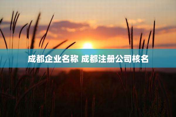 成都企业名称 成都注册公司核名