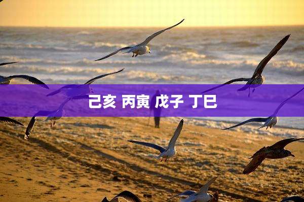 己亥 丙寅 戊子 丁巳
