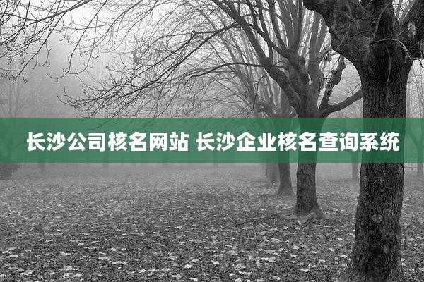 长沙公司核名网站 长沙企业核名查询系统