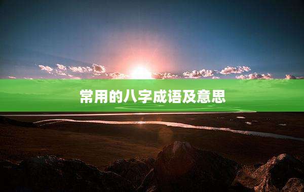 常用的八字成语及意思