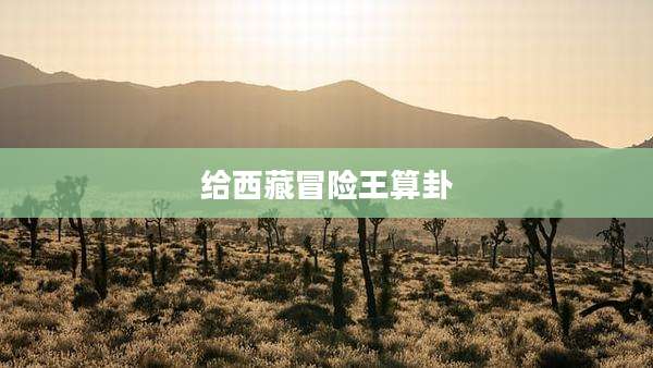 给西藏冒险王算卦