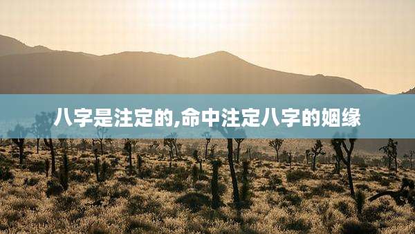 八字是注定的,命中注定八字的姻缘
