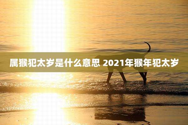 属猴犯太岁是什么意思 2021年猴年犯太岁