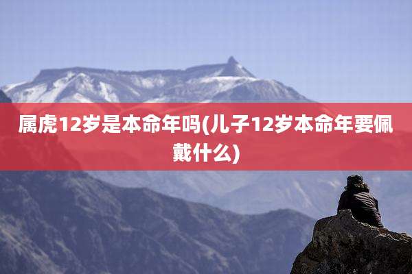 属虎12岁是本命年吗(儿子12岁本命年要佩戴什么)