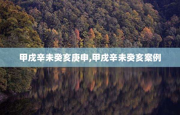 甲戌辛未癸亥庚申,甲戌辛未癸亥案例
