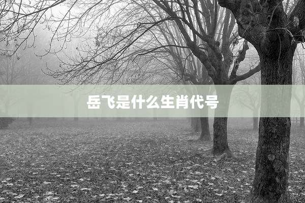 岳飞是什么生肖代号