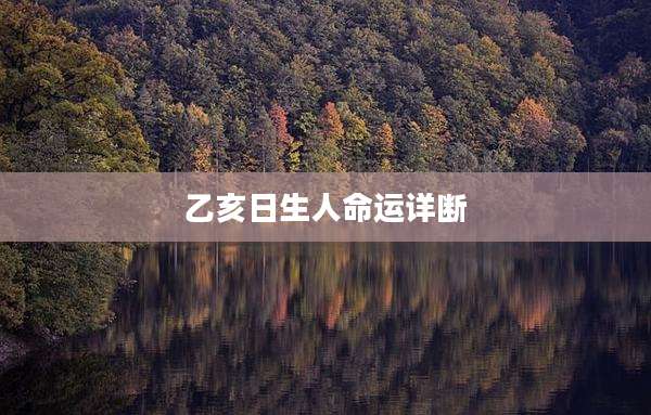 乙亥日生人命运详断