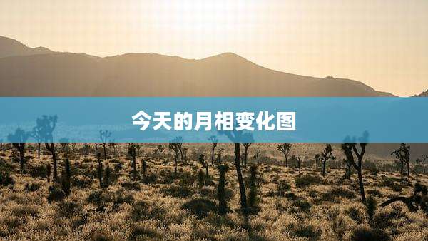 今天的月相变化图