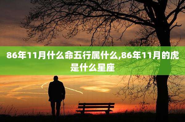 86年11月什么命五行属什么,86年11月的虎是什么星座