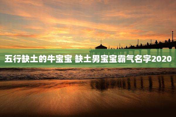 五行缺土的牛宝宝 缺土男宝宝霸气名字2020