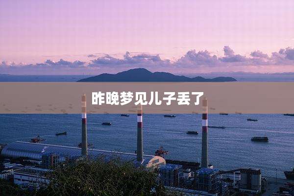 昨晚梦见儿子丢了