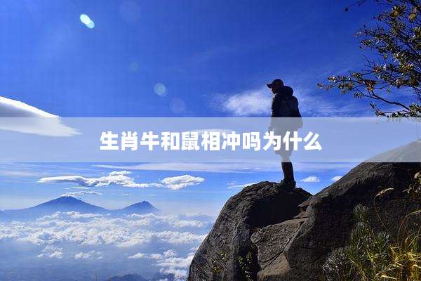 生肖牛和鼠相冲吗为什么