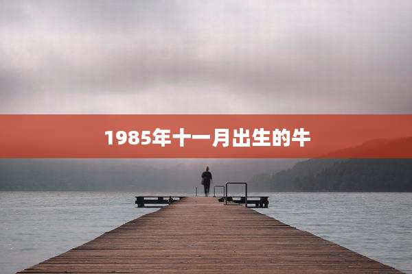 1985年十一月出生的牛