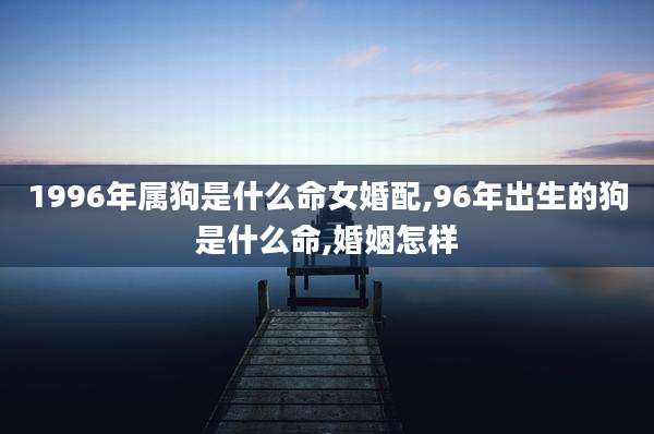 1996年属狗是什么命女婚配,96年出生的狗是什么命,婚姻怎样