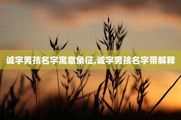 诚字男孩名字寓意象征,诚字男孩名字带解释
