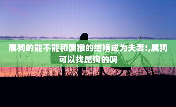 属狗的能不能和属猴的结婚成为夫妻!,属狗可以找属狗的吗