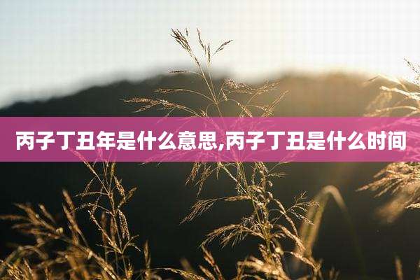 丙子丁丑年是什么意思,丙子丁丑是什么时间