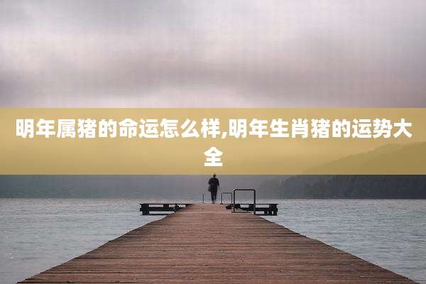 明年属猪的命运怎么样,明年生肖猪的运势大全