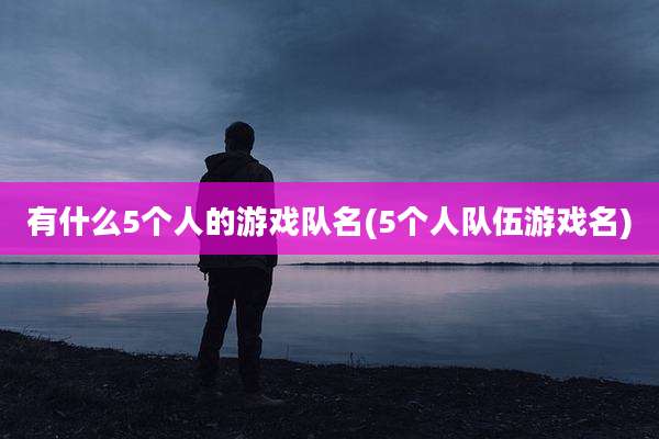有什么5个人的游戏队名(5个人队伍游戏名)
