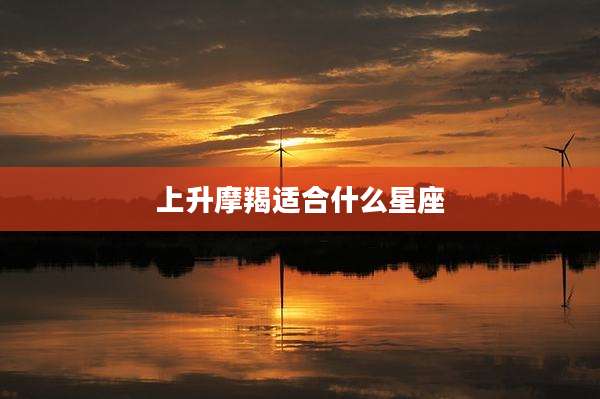 上升摩羯适合什么星座
