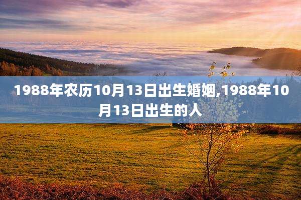 1988年农历10月13日出生婚姻,1988年10月13日出生的人