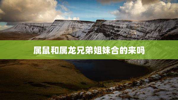 属鼠和属龙兄弟姐妹合的来吗