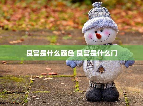 艮宫是什么颜色 艮宫是什么门