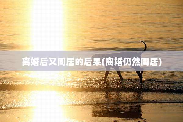 离婚后又同居的后果(离婚仍然同居)