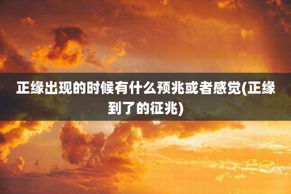 正缘出现的时候有什么预兆或者感觉(正缘到了的征兆)