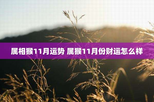 属相猴11月运势 属猴11月份财运怎么样