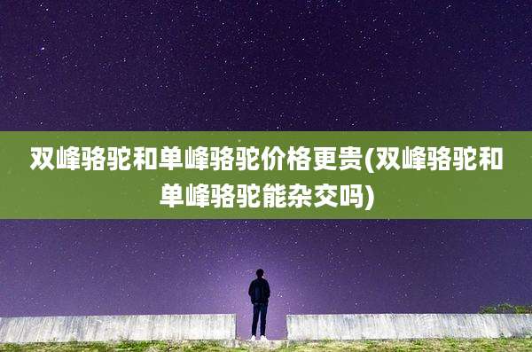 双峰骆驼和单峰骆驼价格更贵(双峰骆驼和单峰骆驼能杂交吗)