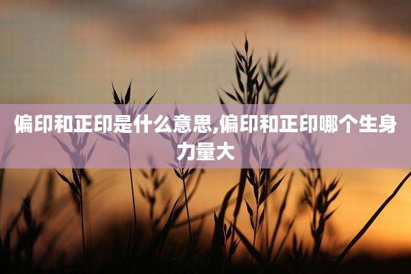 偏印和正印是什么意思,偏印和正印哪个生身力量大