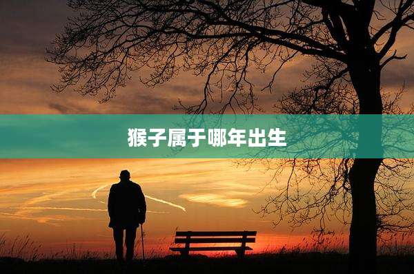 猴子属于哪年出生