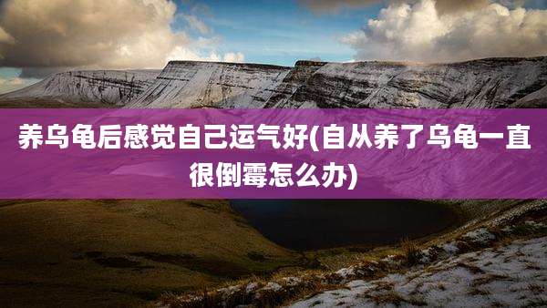养乌龟后感觉自己运气好(自从养了乌龟一直很倒霉怎么办)