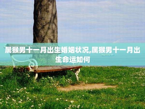 属猴男十一月出生婚姻状况,属猴男十一月出生命运如何