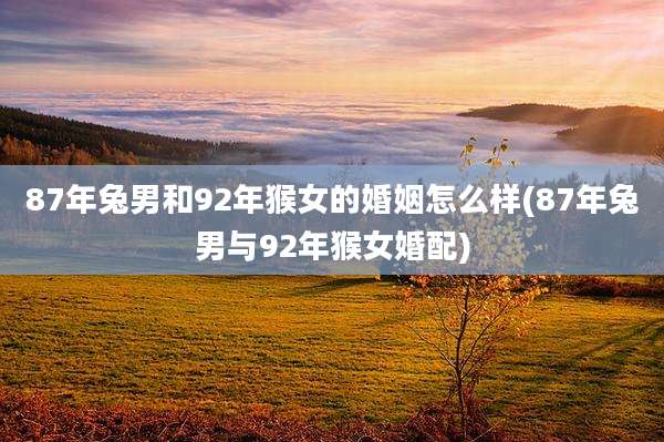 87年兔男和92年猴女的婚姻怎么样(87年兔男与92年猴女婚配)