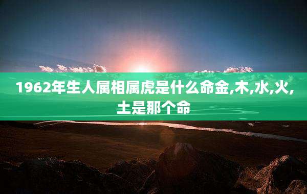 1962年生人属相属虎是什么命金,木,水,火,土是那个命