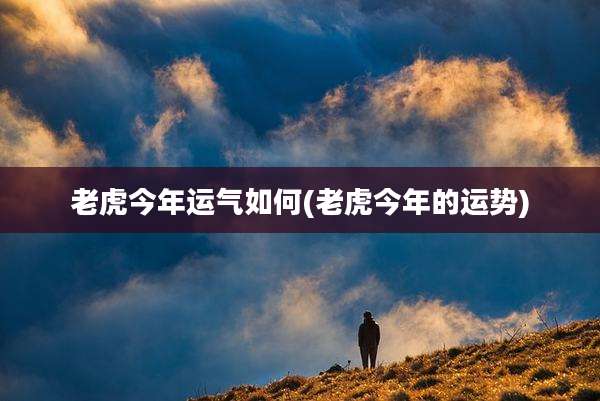 老虎今年运气如何(老虎今年的运势)